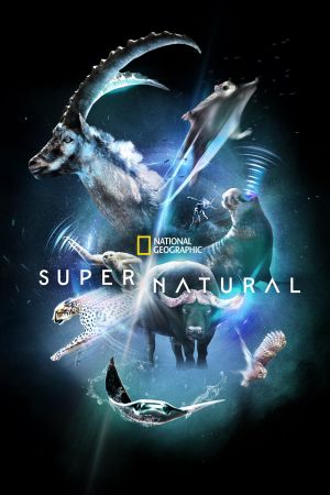 Super/Natural hdfilme stream online