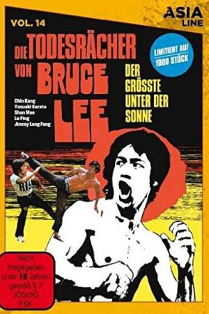Die Todesrächer von Bruce Lee serie stream