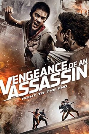 Vengeance Of An Assassin serie stream