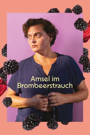 Amsel im Brombeerstrauch serie stream