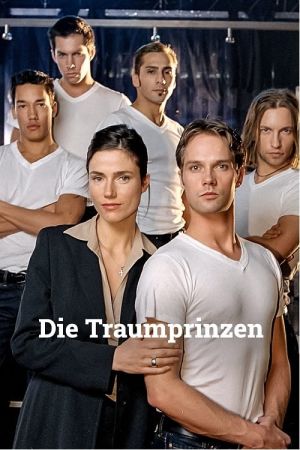 Die Traumprinzen serie stream