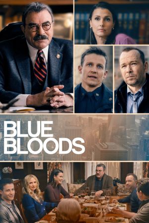 Blue Bloods serie stream